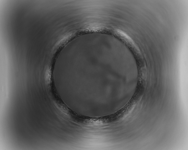 X0000096660640200802261343