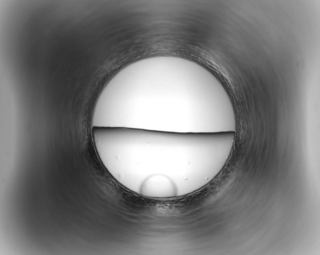 X0000096660641200802261343