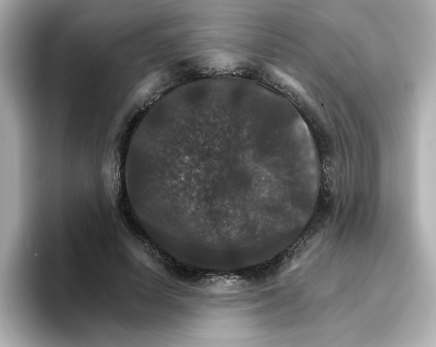 X0000096660642200802261343