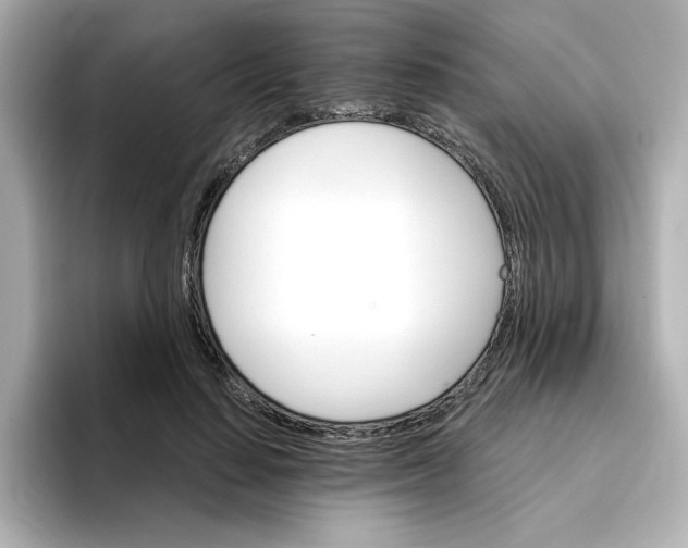 X0000096660644200802261343