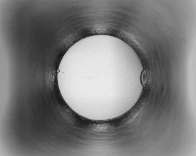 X0000096660645200802261343