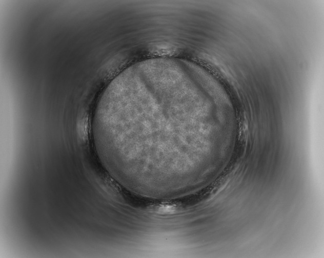 X0000096660647200802261343