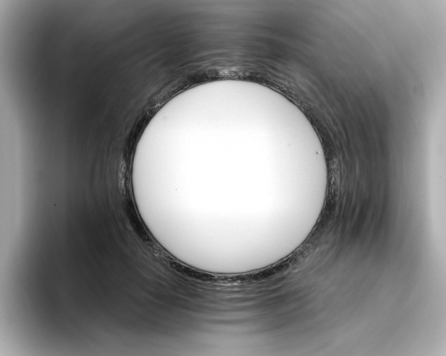 X0000096660650200802261344