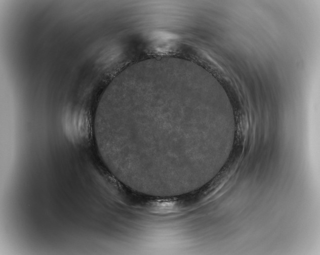 X0000096660651200802261344