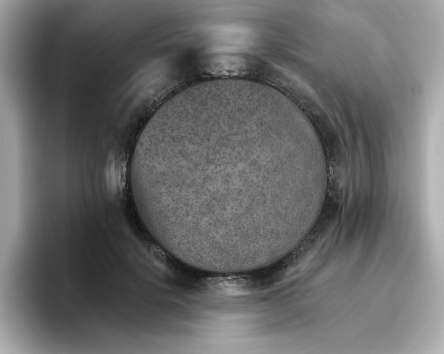 X0000096660652200802261344