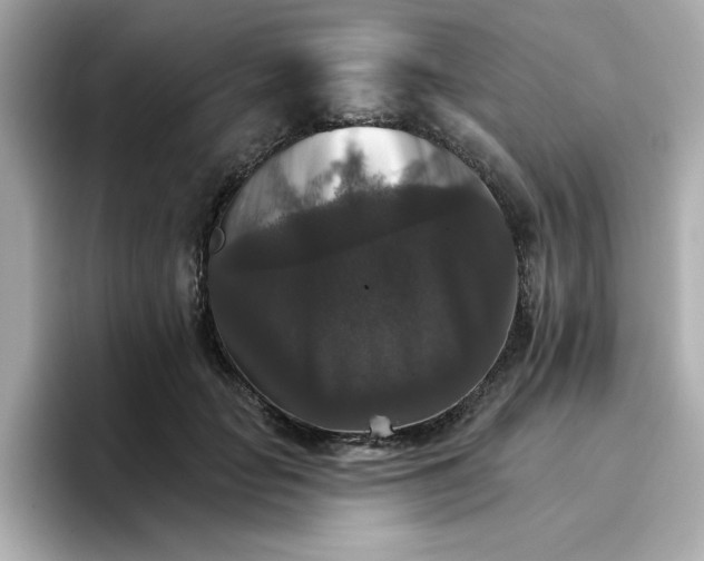 X0000096660653200802261344