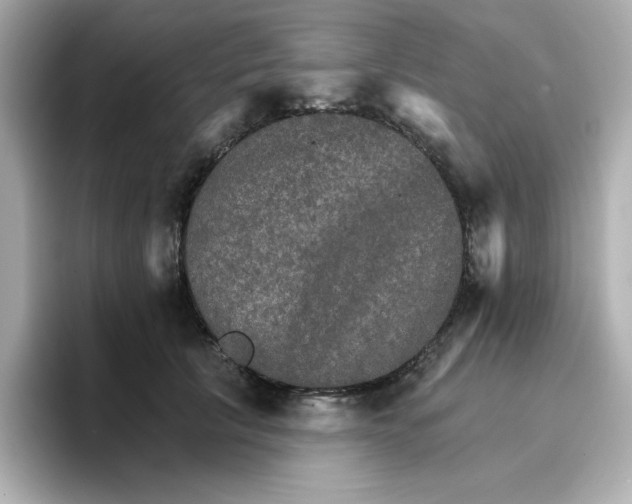 X0000096660657200802261344