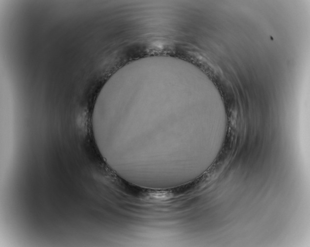 X0000096660659200802261344