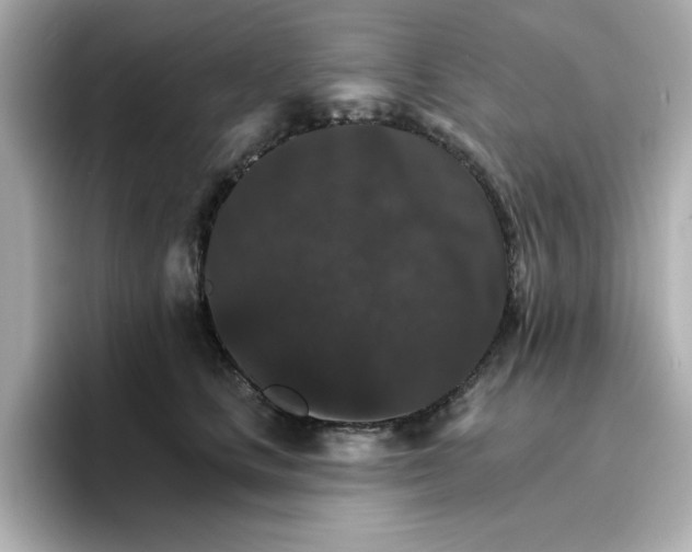 X0000096660661200802261344