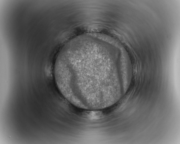 X0000096660663200802261344