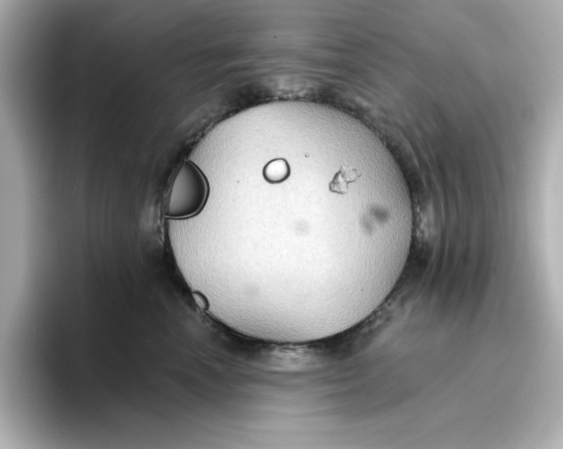 X0000096660666200802261344