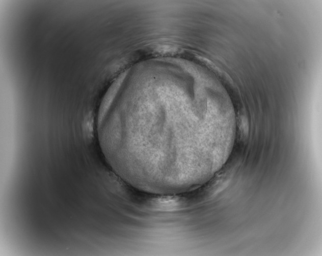 X0000096660668200802261344