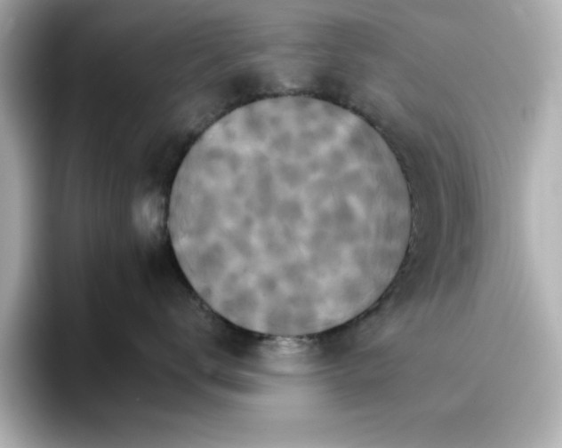 X0000096660672200802261344