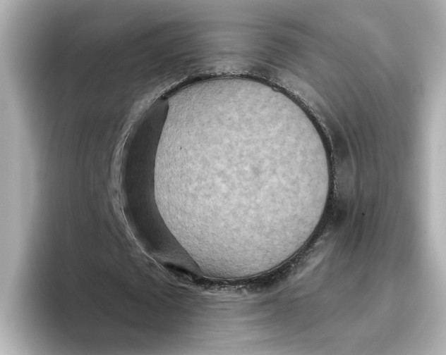 X0000096660673200802261343