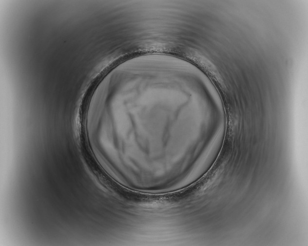 X0000096660674200802261343