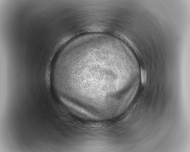 X0000096660675200802261343