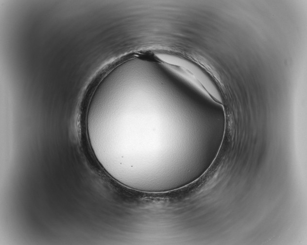 X0000096660676200802261343