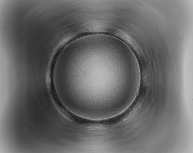 X0000096660677200802261343