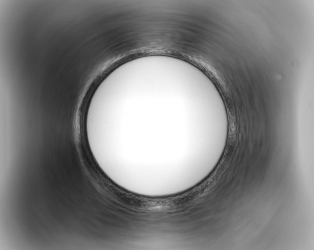 X0000096660678200802261343