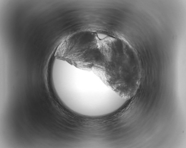 X0000096660679200802261343