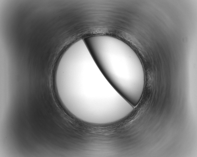 X0000096660681200802261343