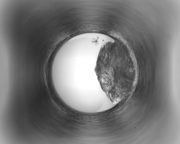 X0000096660683200802261343