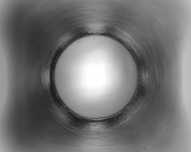 X0000096660686200802261343