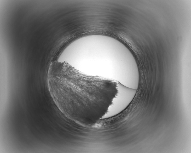 X0000096660687200802261343