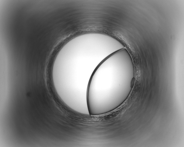 X0000096660688200802261343