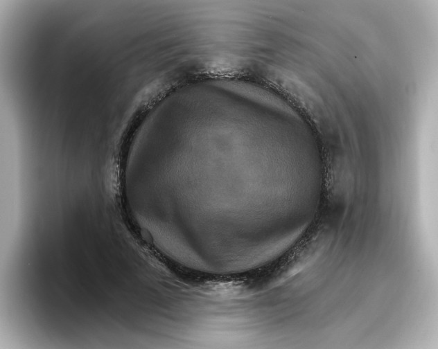 X0000096660689200802261343