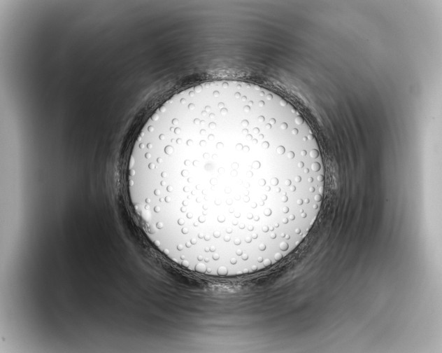 X0000096660690200802261343