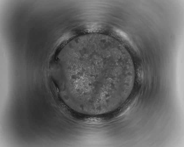 X0000096660691200802261343