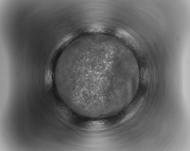 X0000096660692200802261343