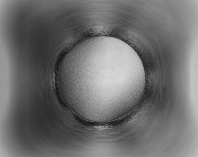 X0000096660693200802261343