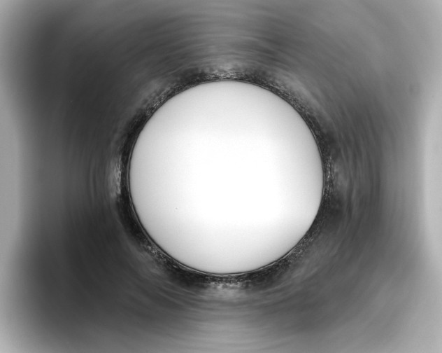 X0000096660694200802261343