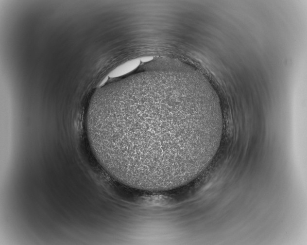 X0000096660695200802261343