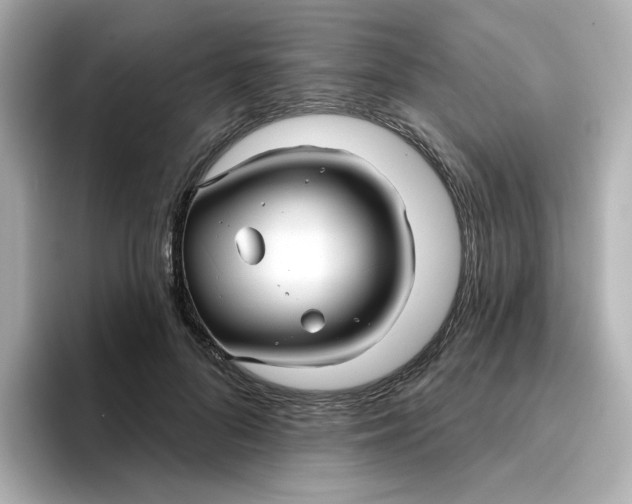 X0000096660696200802261343