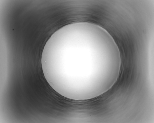 X0000096660701200802261343