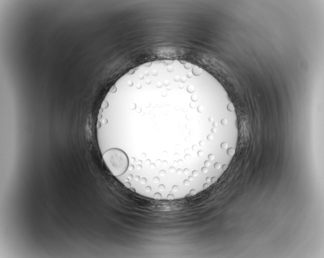 X0000096660702200802261343