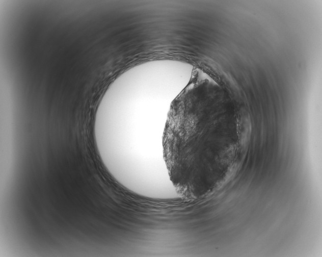 X0000096660703200802261343