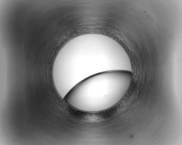 X0000096660704200802261343