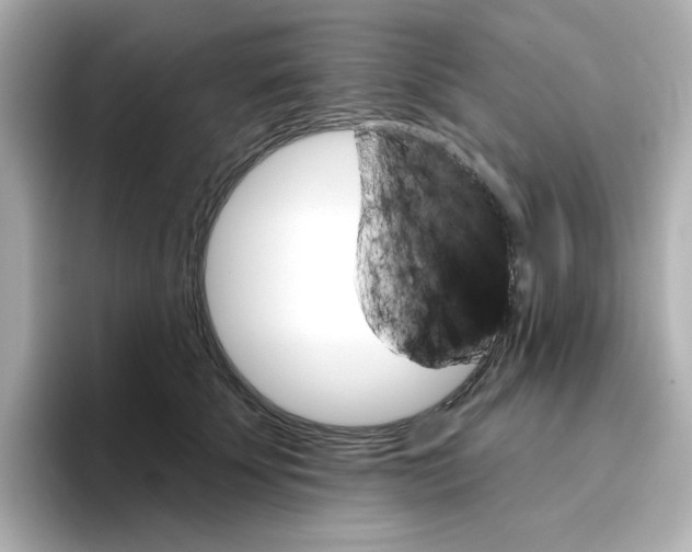 X0000096660707200802261343