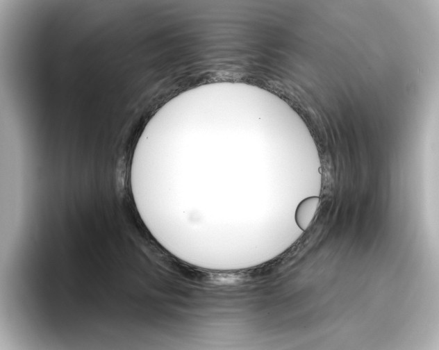 X0000096660710200802261343