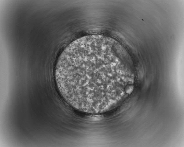 X0000096660711200802261343