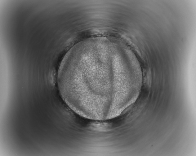 X0000096660712200802261343