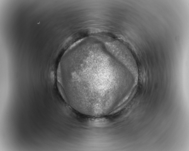 X0000096660716200802261343