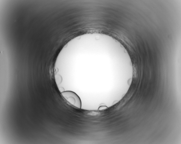 X0000096660718200802261343