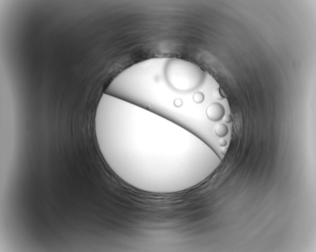 X0000096660719200802261342