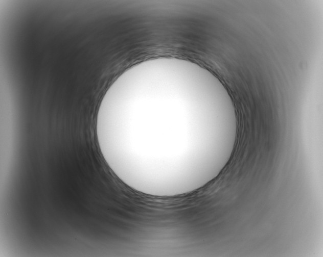 X0000096660720200802261342