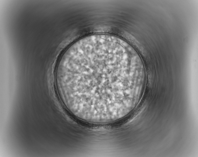 X0000096660721200802261342